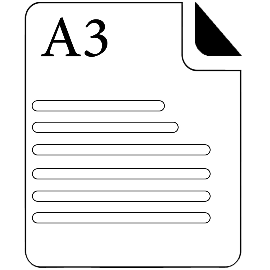 A3